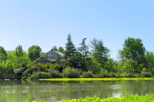 公园草坪河边池塘草地