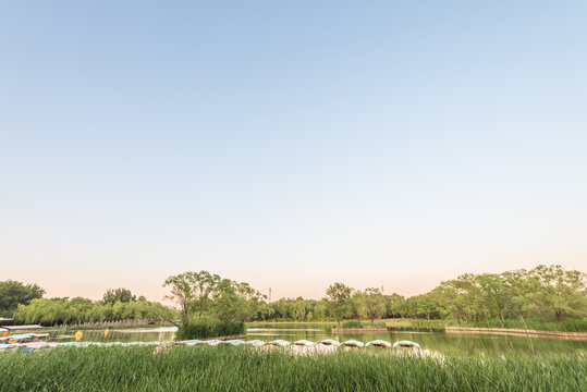 中国北京朝阳公园风景