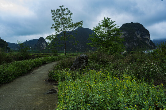 广西旧州风景