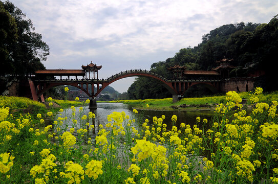 廊桥油菜花