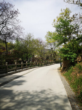 公园小路