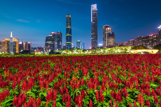 广州珠江新城与海心沙花海夜景