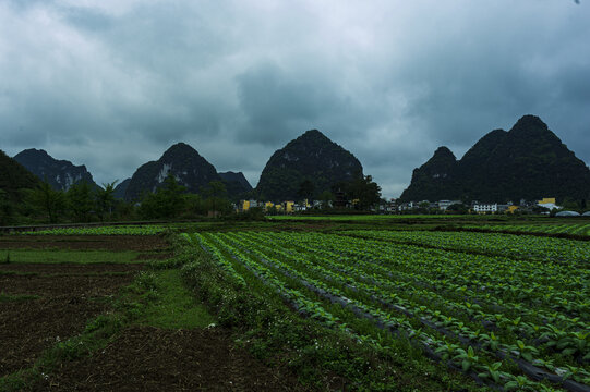 广西旧州风景