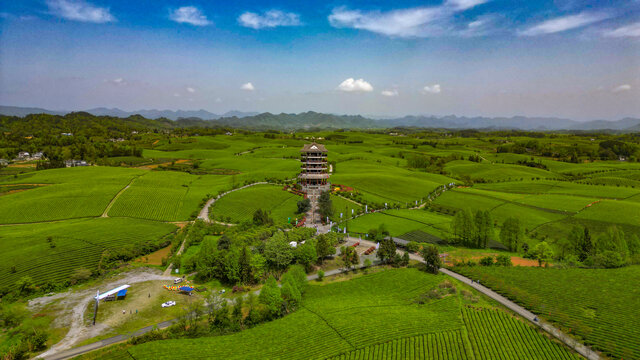 中国茶海景区