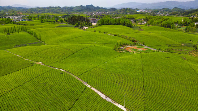 中国茶海景区