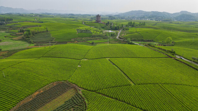 中国茶海景区