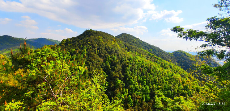 山峰绿植