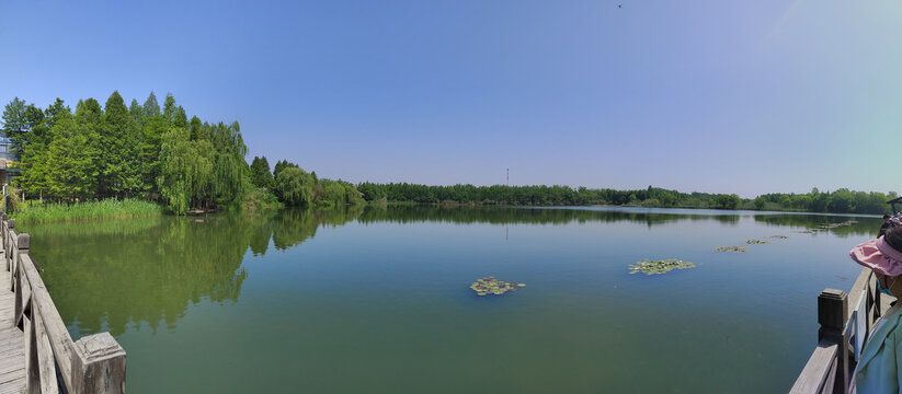 溱湖风景区湿地公园水景全景