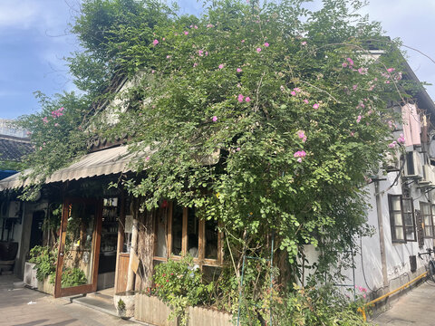 风景屋