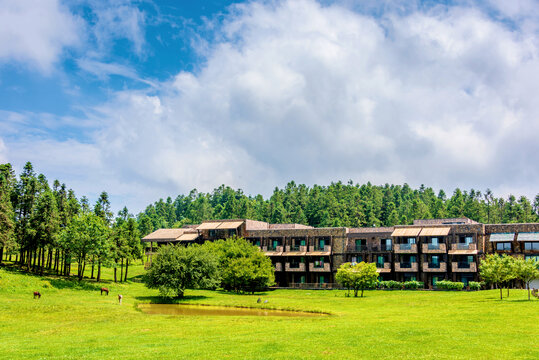 中国重庆武隆仙女山南国大草原