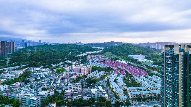 城市建筑深圳龙岗风光