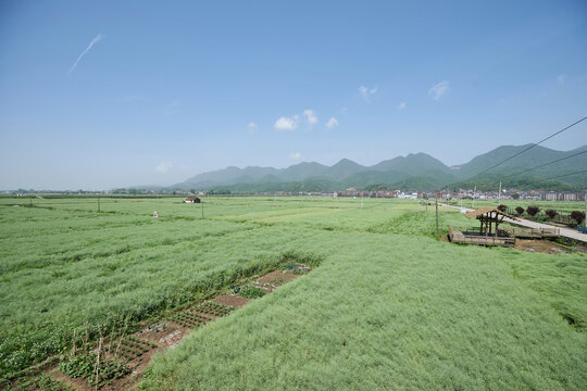 浙江富阳田野风光