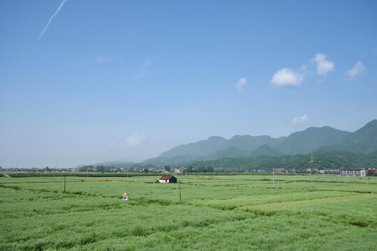 浙江富阳田野风光