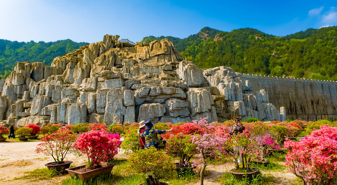 群山下面花满园