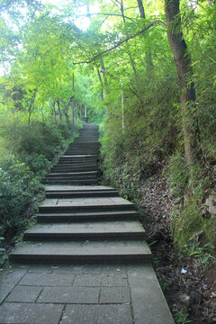 登山楼梯