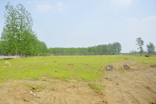 野外青草地