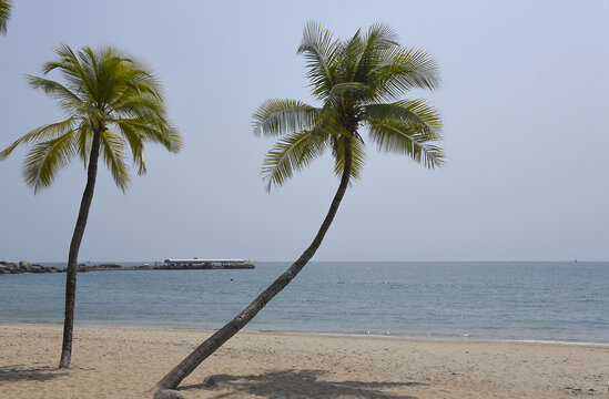 海南岛风光高清大图