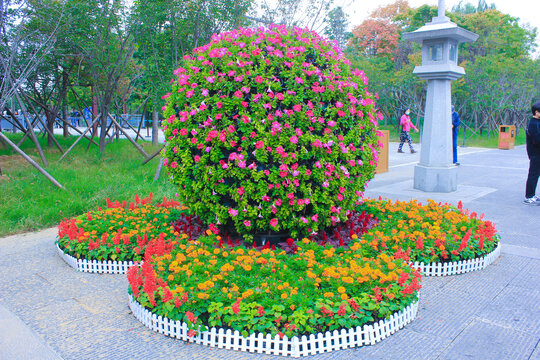 鲜花造景