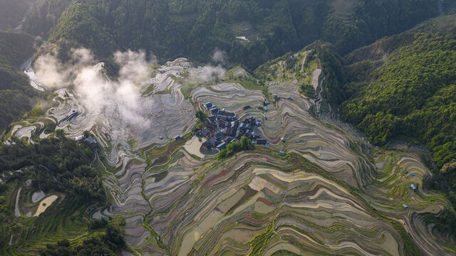 加榜梯田