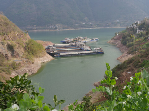 长江三峡巫峡段巫山水域的货船