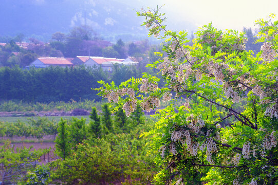 美丽乡村