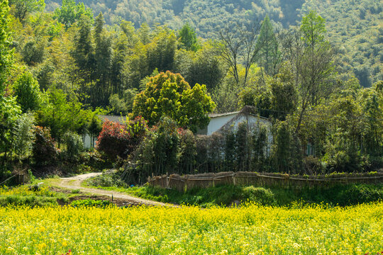 绿色乡村