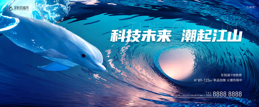 海豚水上活动海洋