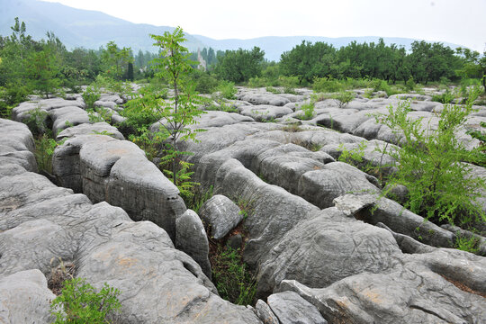 地质公园石头阵