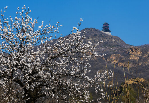 北京定都峰定都阁