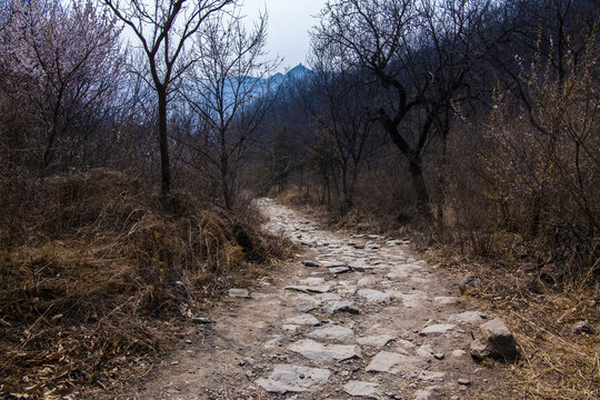 京西古道庞潭古道万桑段