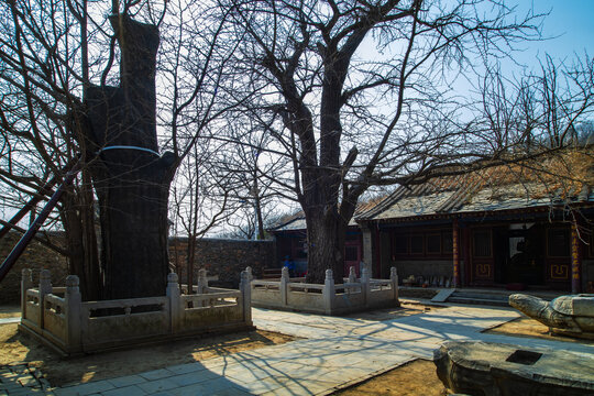 北京门头沟广慧寺