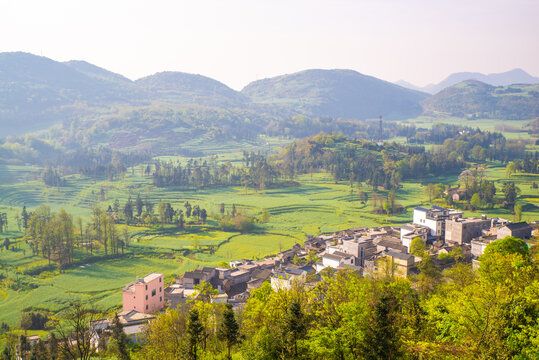 山村田野