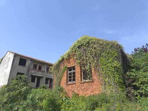 斑驳老屋风景