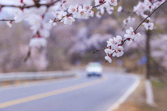 山路