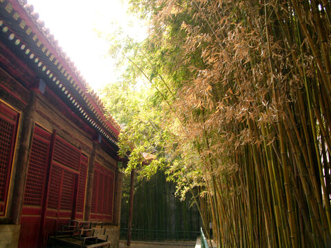 潭柘寺