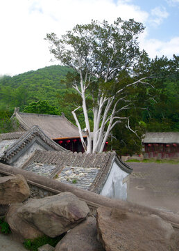 潭柘寺