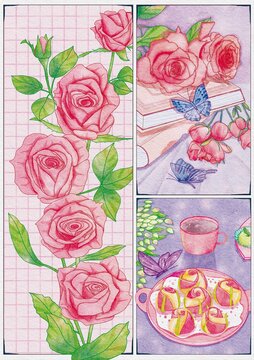 水彩分镜插画玫瑰花