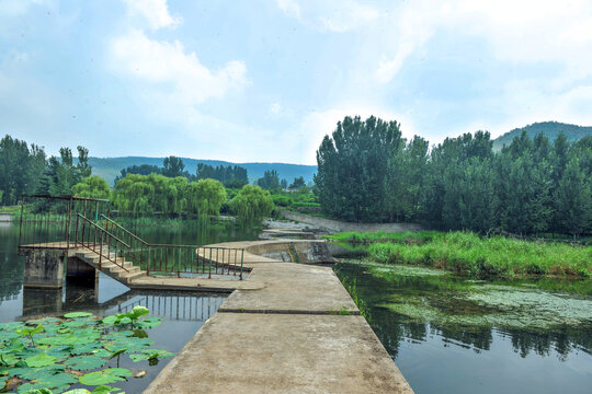 湿地公园水坝