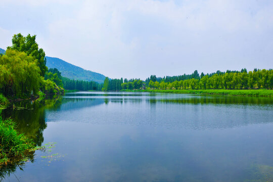 湿地公园河景