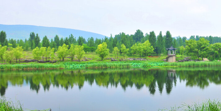 沿河风光