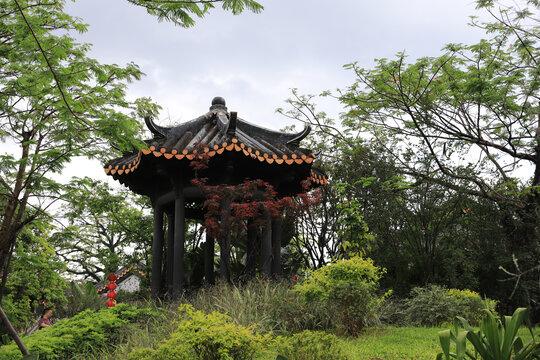 惠州东坡祠东坡井景区风景