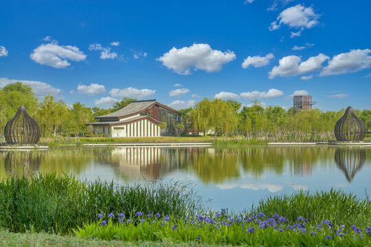 徐州桃花源湿地公园