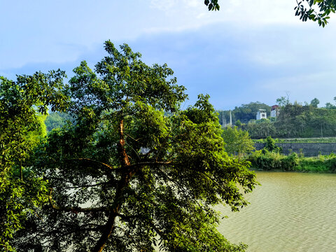 河岸风景