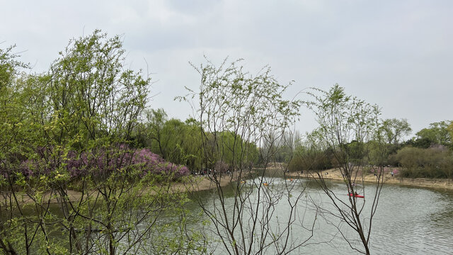 奥森公园春季湖景