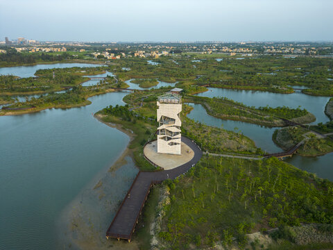 迈雅河湿地公园