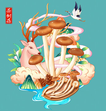 茶树菇插画手绘