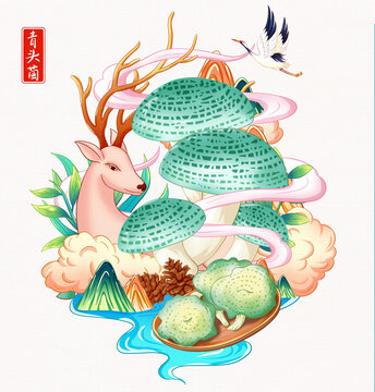 青头菌插画手绘