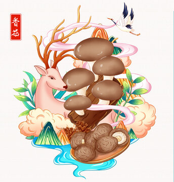 香菇插画手绘