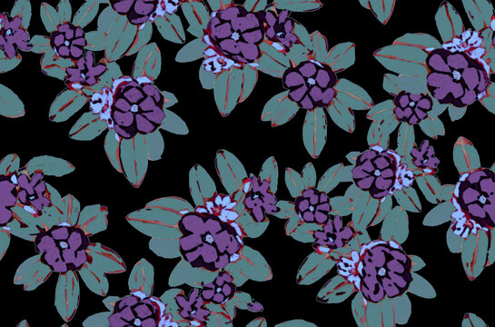 黑底紫红色系花