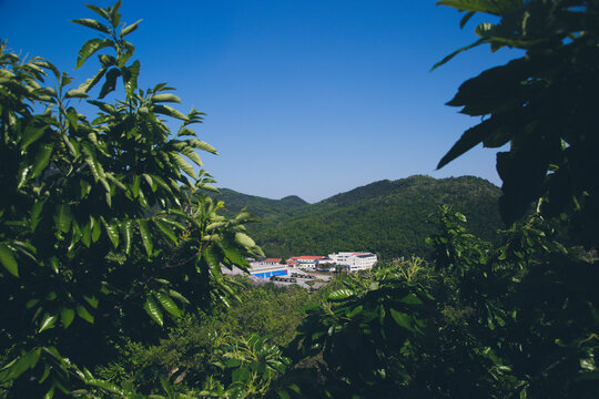 蒙山